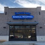 Suwanee Animal Hospital Channel Letters sign